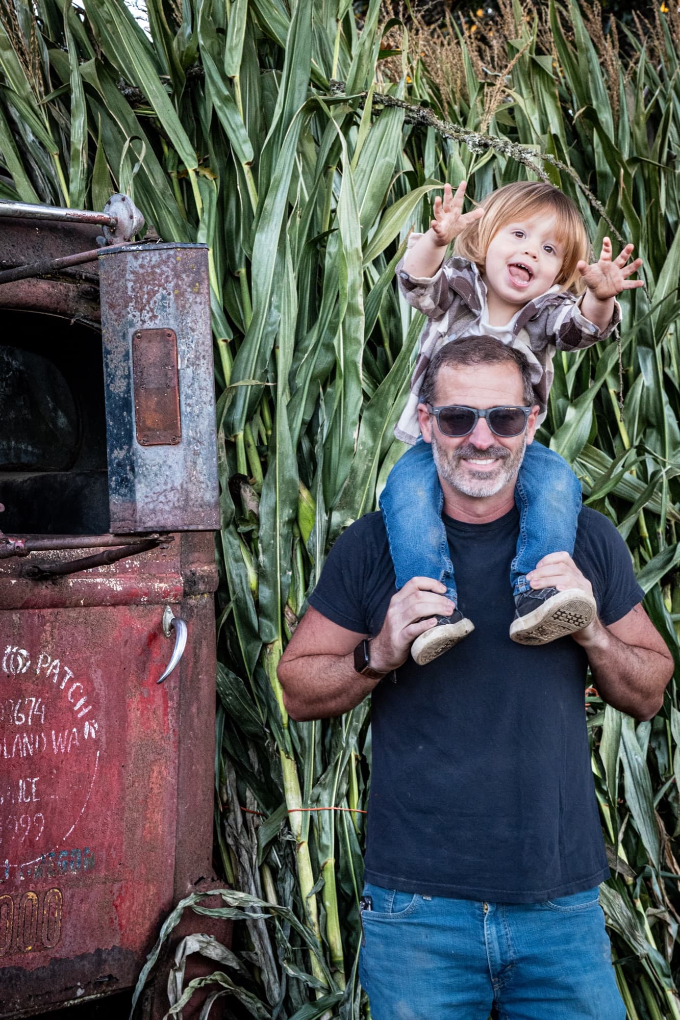 Toddler riding on a parent’s shoulders beside a vintage truck in the corn