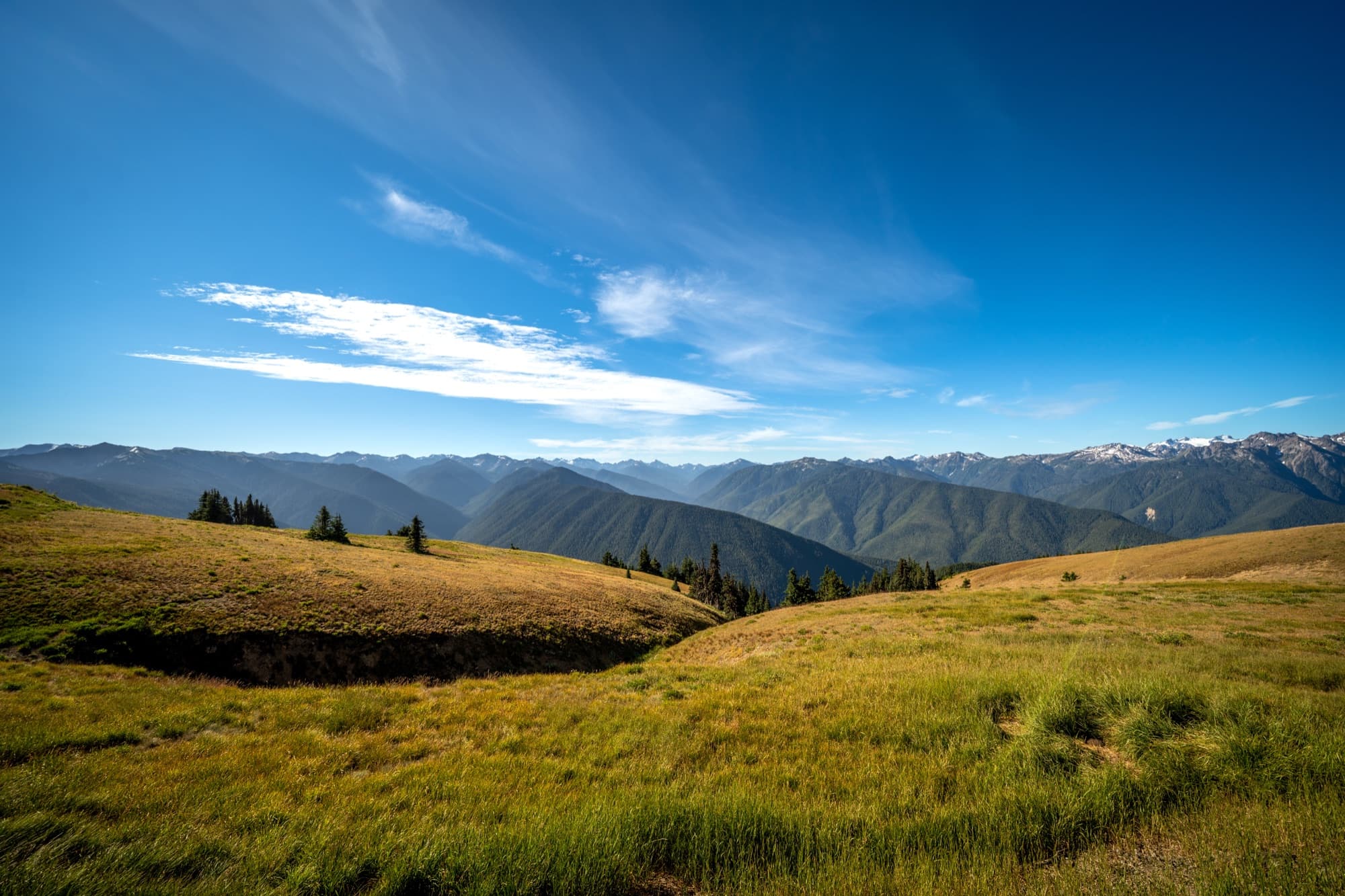 Alpine meadow ridgeline under a deep blue sky